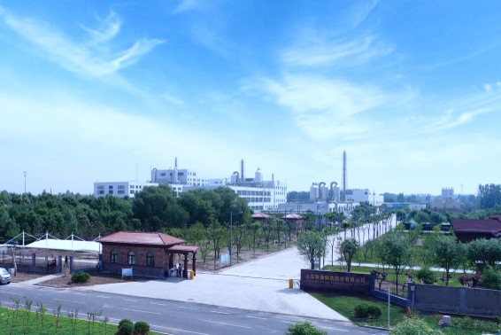 Shandong Keyuan Pharmaceutical Co., Ltd.